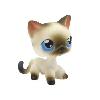 LPS CAT Littlest pet shop zabawki z bobble-head stojące # 5 mini krótkowłosy kot szary biały kot z niebieskimi oczami prawdziwe prezenty dla zwierząt